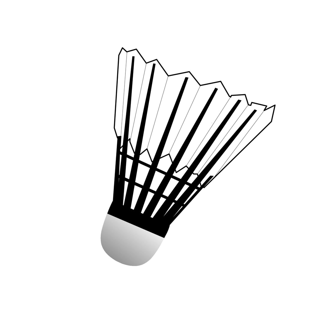 Selecting the Ideal Shuttlecock for Your Badminton Game